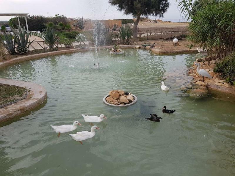Kamarina Resort Scoglitti Eksteriør billede